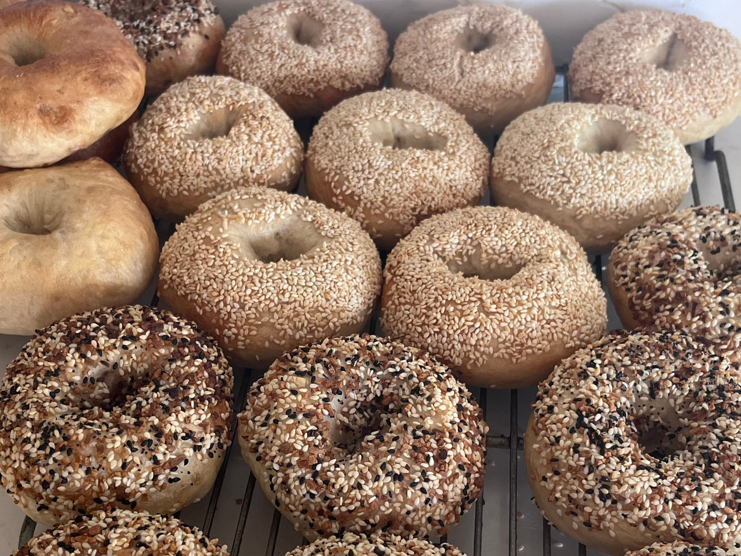 Sourdough Bagels - Everything