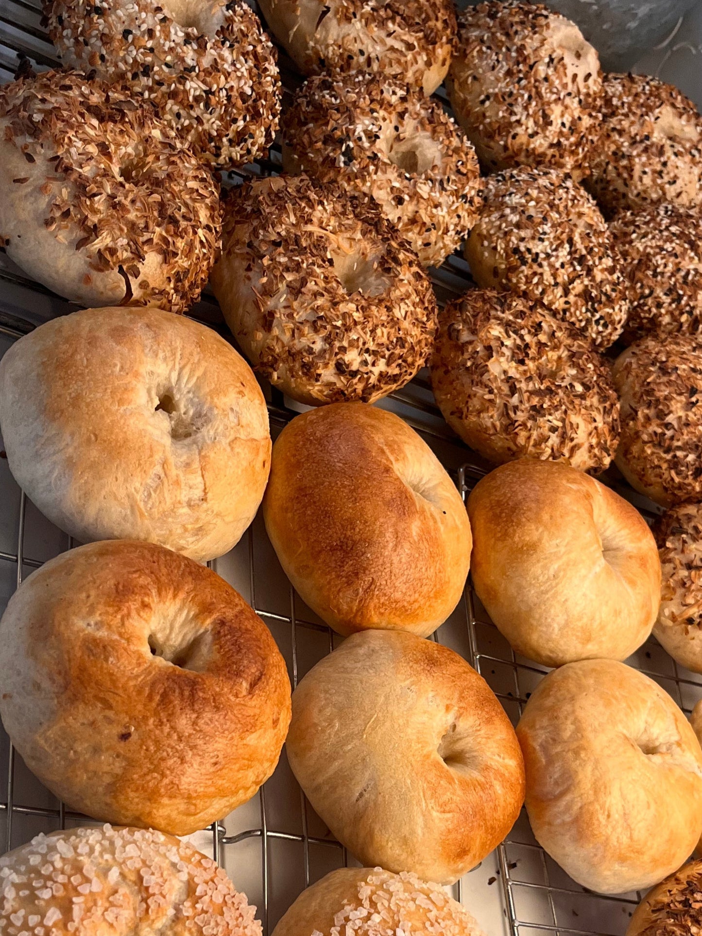 Sourdough Bagels - Plain
