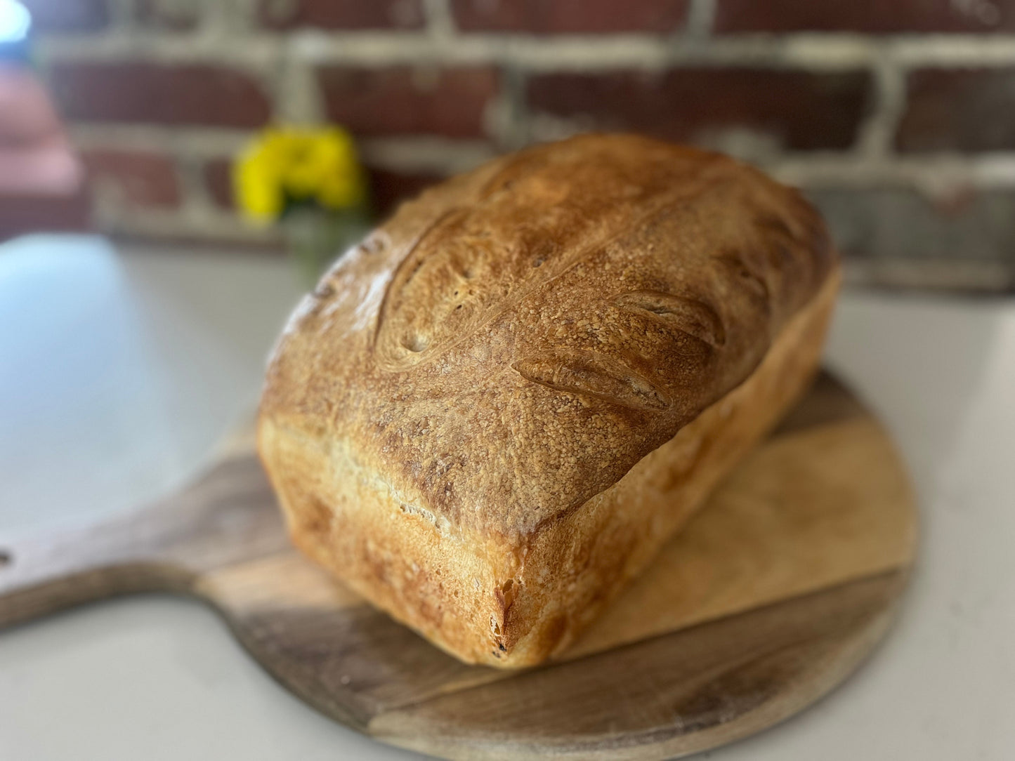 Sandwich Sourdough Loaf